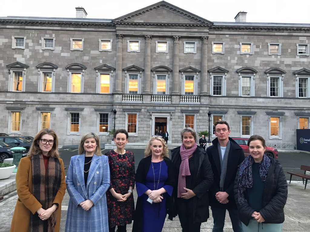 Leinster House visit